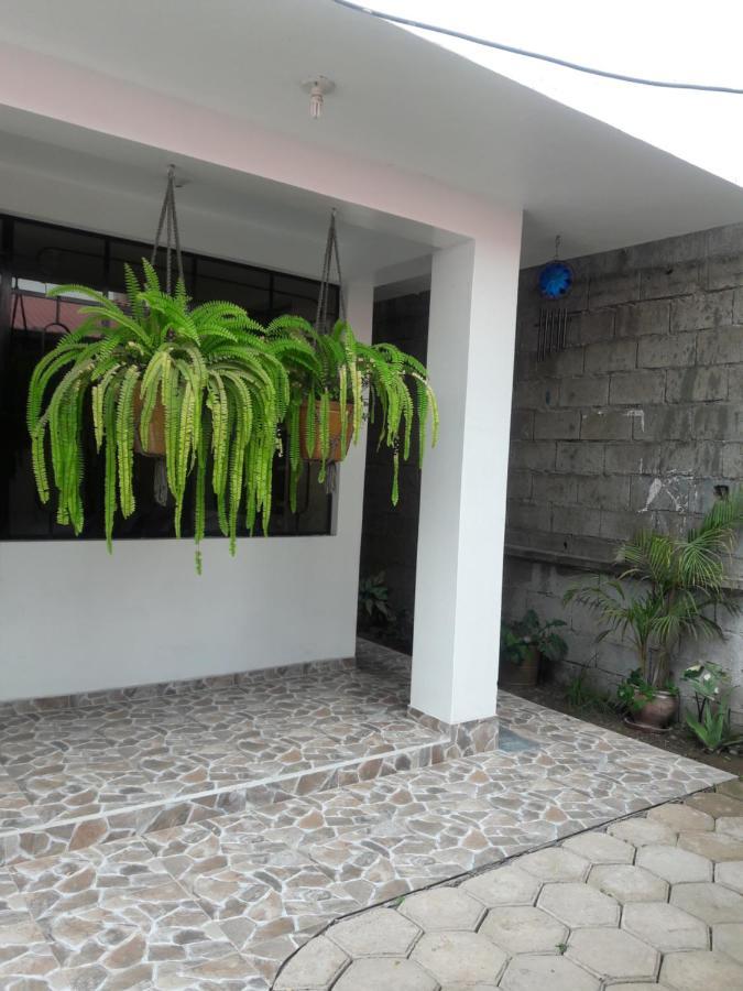 Suzet House Pension Oxapampa Buitenkant foto