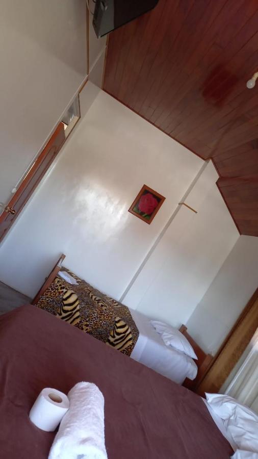 Suzet House Pension Oxapampa Buitenkant foto